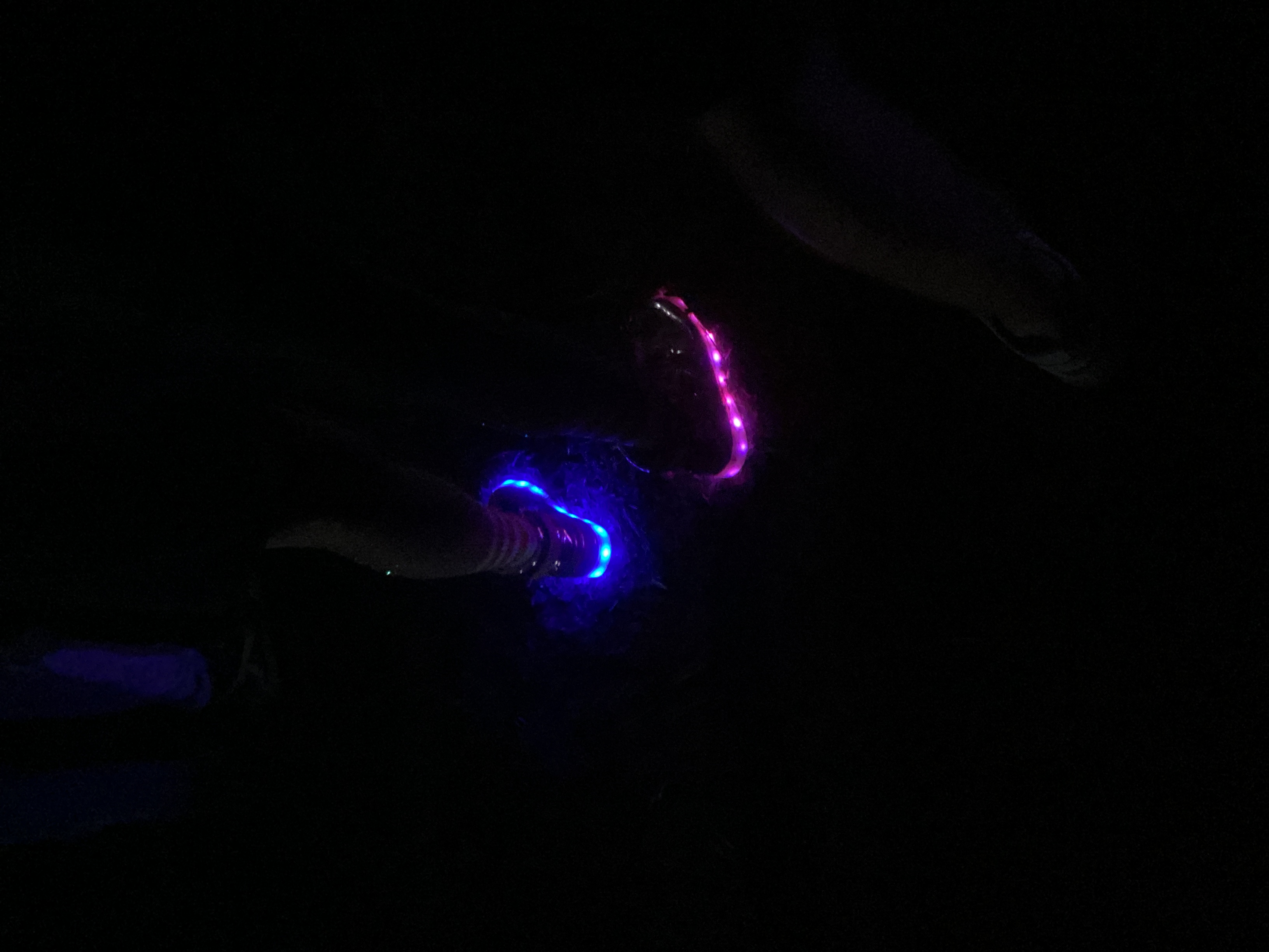 RaveLighting.AshleyCook